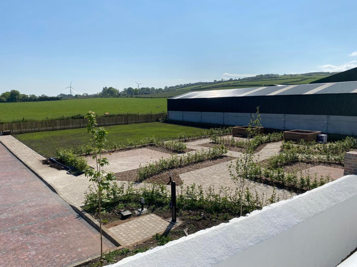 Ballymullock Barn Lofts Carncastle Zewnętrze zdjęcie